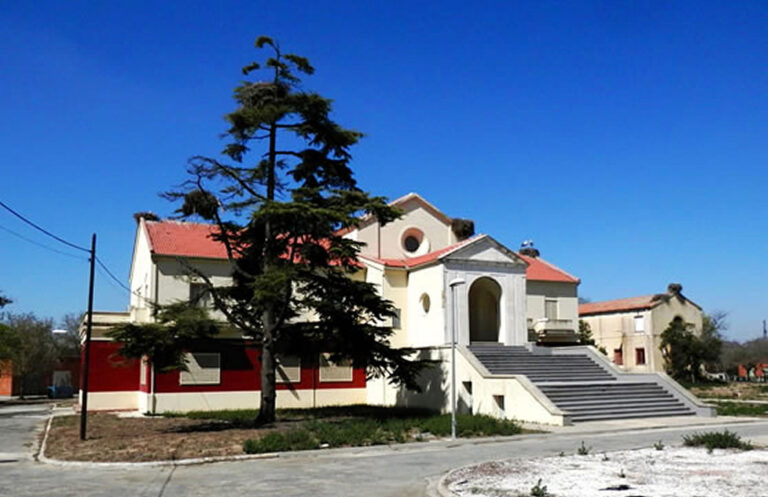 Animales Normales - Aves - Cigüeñas