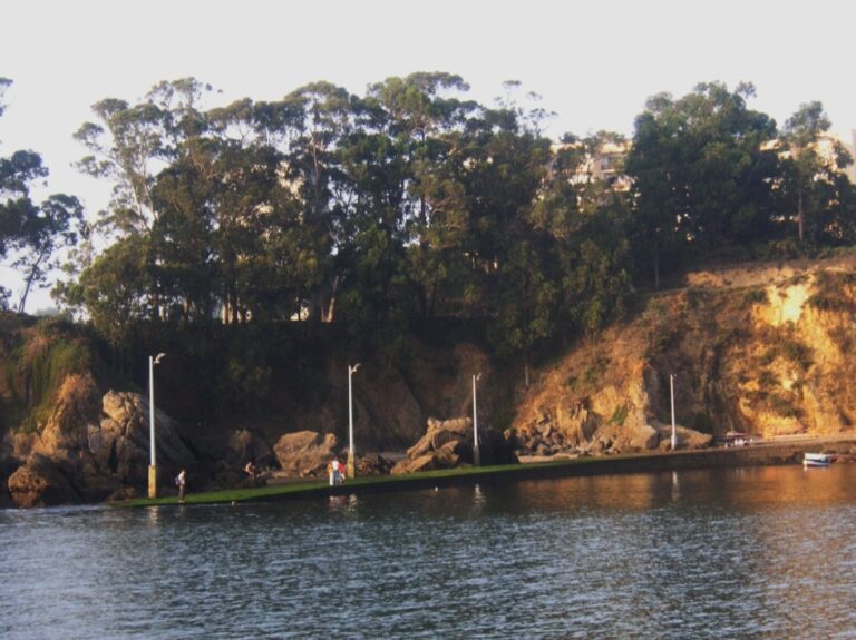 Animales Normales - Crustáceos - Cangrejos